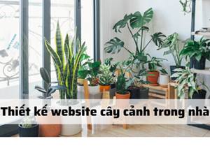 Thiết kế website bán cây cảnh trong nhà chuẩn SEO
