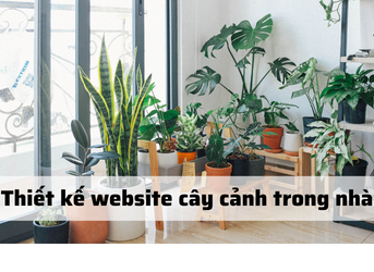 Thiết kế website bán cây cảnh trong nhà chuẩn SEO