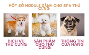 Module cho website Spa thú cưng